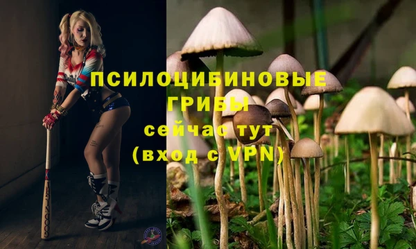 соль курить ск Арсеньев