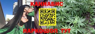 ешки Бийск