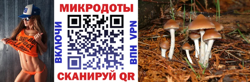 Галлюциногенные грибы Cubensis  Ейск 