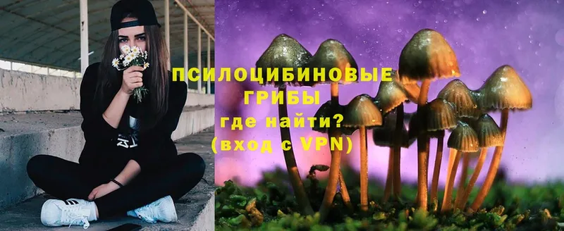 KRAKEN рабочий сайт  Ейск  Псилоцибиновые грибы Cubensis 