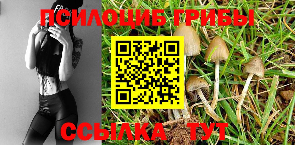 Псилоцибиновые грибы MAGIC MUSHROOMS Ейск
