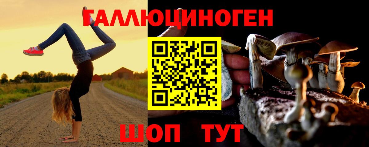 Галлюциногенные грибы Psilocybine cubensis  сколько стоит  Ейск 